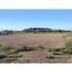  Land for sale in Calle Larga, Valparaiso, Calle Larga, Los Andes