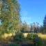  Land for sale in Chile, Lanco, Valdivia, Los Rios, Chile