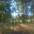  Land for sale in Chile, Lanco, Valdivia, Los Rios, Chile