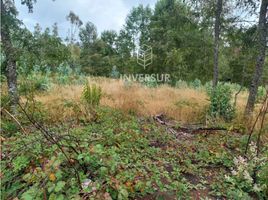  Land for sale in Chile, Lanco, Valdivia, Los Rios, Chile