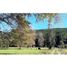  Terreno (Parcela) en venta en Loncoche, Cautín, Loncoche