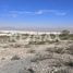  Land for sale in Arteaga, Coahuila, Arteaga