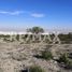  Land for sale in Arteaga, Coahuila, Arteaga