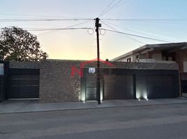 1 Schlafzimmer Wohnung zu vermieten in Hermosillo, Sonora, Hermosillo