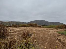  Land for sale in Chile, Puchuncavi, Valparaiso, Valparaiso, Chile