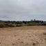  Land for sale in Chile, Puchuncavi, Valparaiso, Valparaiso, Chile