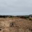  Land for sale in Chile, Puchuncavi, Valparaiso, Valparaiso, Chile