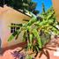 2 Habitación Casa en venta en Dist Pochutla, Oaxaca, Dist Pochutla, Oaxaca