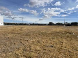  Land for sale in Silao, Guanajuato, Silao