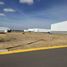  Land for sale in Silao, Guanajuato, Silao