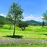  Terreno (Parcela) en venta en Huimilpan, Querétaro, Huimilpan