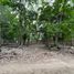  Grundstück zu verkaufen in Othon P Blanco, Quintana Roo, Othon P Blanco