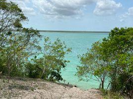  Grundstück zu verkaufen in Othon P Blanco, Quintana Roo, Othon P Blanco
