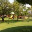  Land for sale in Jonacatepec, Morelos, Jonacatepec