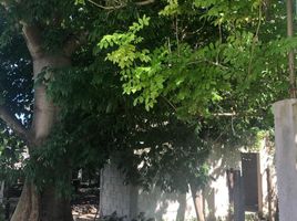  Grundstück zu verkaufen in Othon P Blanco, Quintana Roo, Othon P Blanco