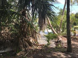  Grundstück zu verkaufen in Othon P Blanco, Quintana Roo, Othon P Blanco