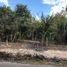  Grundstück zu verkaufen in Othon P Blanco, Quintana Roo, Othon P Blanco