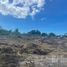  Land for sale in Champoton, Campeche, Champoton