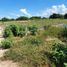 Terrain à vendre à Othon P Blanco, Quintana Roo, Othon P Blanco