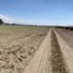  Land for sale in Quecholac, Puebla, Quecholac