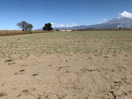  Land for sale in Quecholac, Puebla, Quecholac