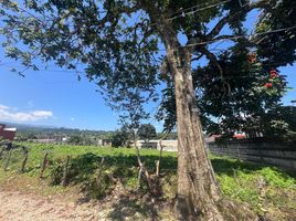  토지을(를) Ixhuacan De Los Reyes, 베라 크루즈에서 판매합니다., Ixhuacan De Los Reyes