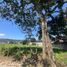  Land for sale in Ixhuacan De Los Reyes, Veracruz, Ixhuacan De Los Reyes