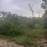 Terrain à vendre à Cozumel, Quintana Roo, Cozumel