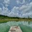  Terreno (Parcela) en venta en Cozumel, Quintana Roo, Cozumel, Quintana Roo