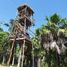  Terreno (Parcela) en venta en Cozumel, Quintana Roo, Cozumel, Quintana Roo