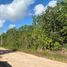  Terreno (Parcela) en venta en Cancún, Quintana Roo, Cancún, Quintana Roo