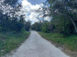  Grundstück zu verkaufen in Cancun, Quintana Roo, Cancun