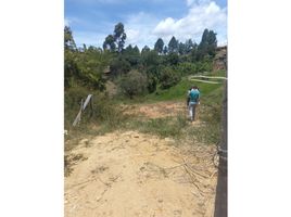  Terreno (Parcela) en venta en Guarne, Antioquia, Guarne