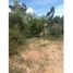  Land for sale in Guarne, Antioquia, Guarne