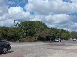  Grundstück zu verkaufen in Cozumel, Quintana Roo, Cozumel