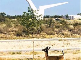  Grundstück zu verkaufen in Apodaca, Nuevo Leon, Apodaca