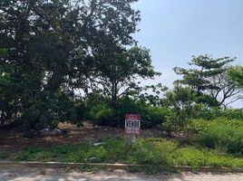  Grundstück zu verkaufen in Alvarado, Veracruz, Alvarado