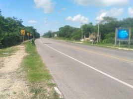  Grundstück zu verkaufen in Othon P Blanco, Quintana Roo, Othon P Blanco