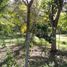  Terreno (Parcela) en venta en Othon P Blanco, Quintana Roo, Othon P Blanco