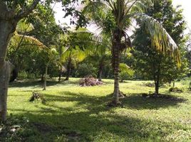  Terreno (Parcela) en venta en Othon P Blanco, Quintana Roo, Othon P Blanco