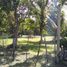  Terreno (Parcela) en venta en Othon P Blanco, Quintana Roo, Othon P Blanco