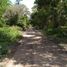  Terreno (Parcela) en venta en Othon P Blanco, Quintana Roo, Othon P Blanco