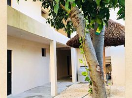 6 chambre Appartement for sale in Cozumel, Quintana Roo, Cozumel