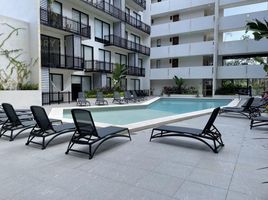 Studio Apartment for sale in Cozumel, Quintana Roo, Cozumel