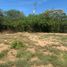 Grundstück zu verkaufen in Dist Pochutla, Oaxaca, Dist Pochutla