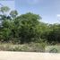  Grundstück zu verkaufen in Merida, Yucatan, Merida, Yucatan