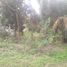  Terreno (Parcela) en venta en Othon P Blanco, Quintana Roo, Othon P Blanco