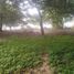  Terreno (Parcela) en venta en Othon P Blanco, Quintana Roo, Othon P Blanco