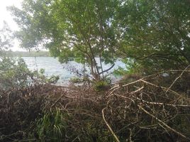  Terreno (Parcela) en venta en Othon P Blanco, Quintana Roo, Othon P Blanco