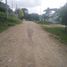  Terreno (Parcela) en venta en Othon P Blanco, Quintana Roo, Othon P Blanco